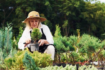 Senior woman is in the garden at daytime. Conception of plants and seasons