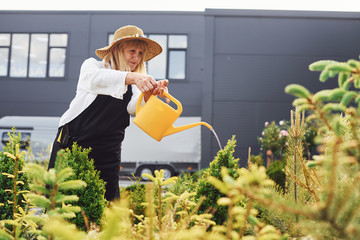 Naklejka na ściany i meble Watering plants. Senior woman is in the garden at daytime
