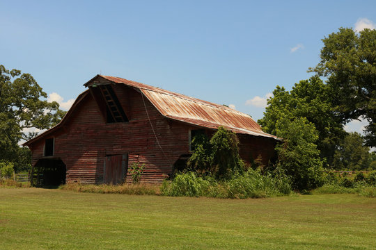 Old red barn with trees and bushes growing around it