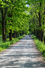 quiet bike ride in the park