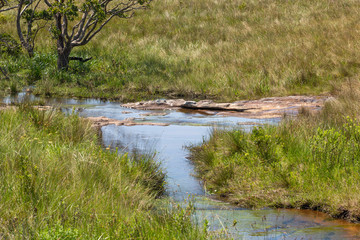 Landscape along a tributary of the Bulolo River in Umtamvuna Nature Reserve, Port Edward, KwaZulu-Natal, South Africa