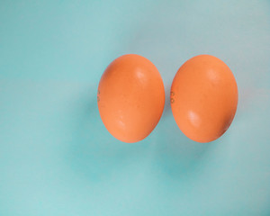 two orange chicken eggs on a blue background