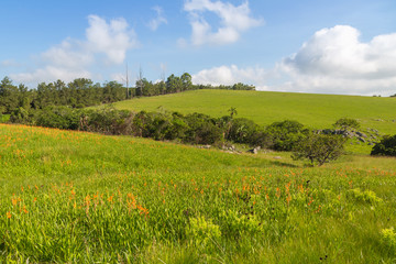 Impressions of the magnificient Umtamvuna Nature Reserve close to Port Edward, KwaZulu-Natal