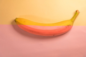 an unusual two-color unpeeled banana lies on a yellow-pink background