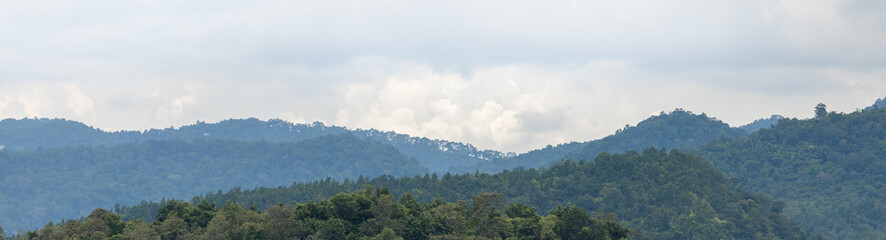 Nature panorama view of tree and green forest with sky and cloud with copy space using as background natural green plants landscape, ecology, fresh cover page concept.