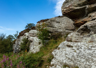 Corby Crags. Northumberland, England UK.