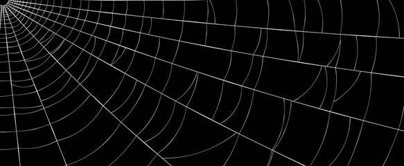 White spiderweb without spider on black background.
