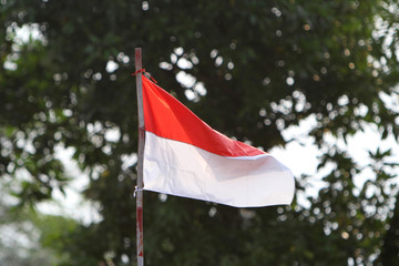 Bendera Photos Royalty Free Images Graphics Vectors Videos Adobe Stock
