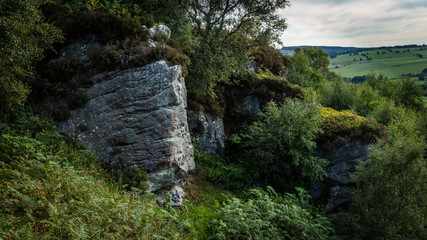 Corby Crags. Northumberland, England UK.