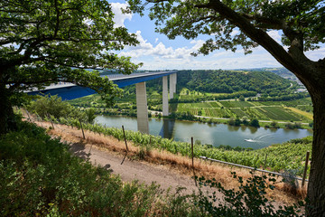 Beautiful Moselle Valley bridge made of blue steel and gray pillars, large trees in the foreground,...