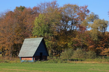 Little rural barn on yellow green trees background on Sunny October autumn day, European Russia beautiful landscape