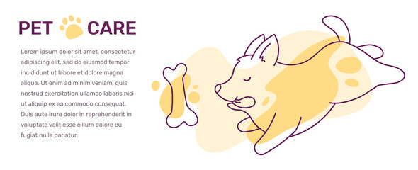 Vector illustration of a cute corgi dog with bone and text on white background.