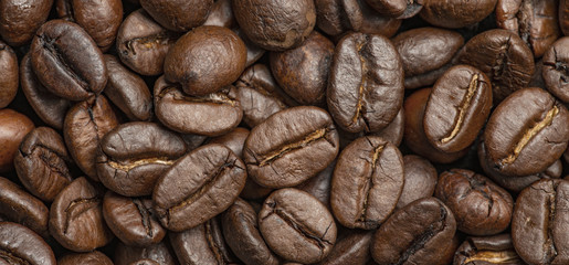 coffee beans in the detail close up