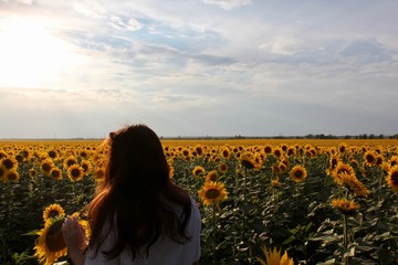 Happy girl in a field of yellow sunflowers