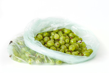 Green gooseberry isolated on white background