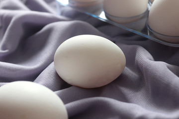 white egg in gray background