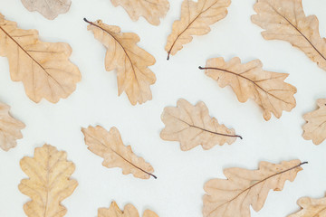 Frame made of autumn leaves, acorn, pine cones on white background.