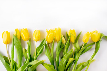 Bouquet of yellow tulips on a white background with a place to add text.
