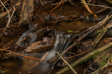 Creek near Kouty nad Desnou village in summer day