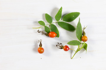 Dog rose berry, leaf, flower on white background