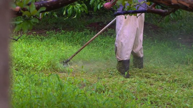 brush cutter machin cutting grass mid shot