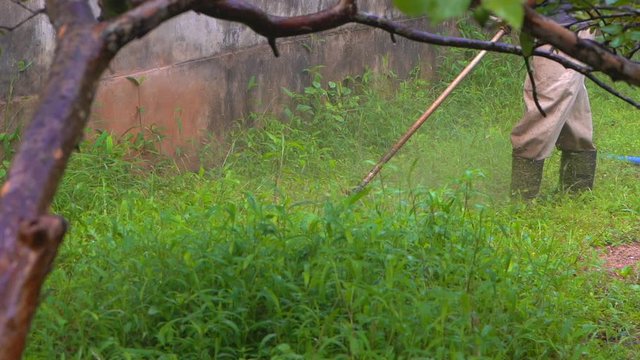 brush cutter machin cutting grass age of the wall