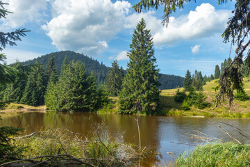 Obraz premium lake in the mountains