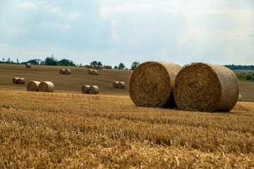 viele Heuballen auf einem Feld