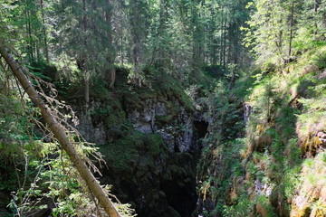large karst hole in the forest