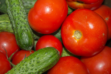 red fresh tomatoes and cucumbers