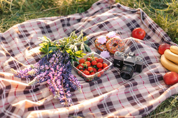 Healthy picnic for a summer vacation with freshly baked croissants, fresh fruit and fruit salad, sandwiches and a glass of refreshing orange juice laid out on a red and white checked cloth and hamper