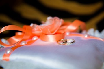 Wedding is one of the most fateful events in the life of a young couple.