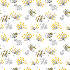 Fennel flowers on white