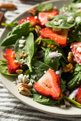 Homemade Organic Fresh Strawberry Salad