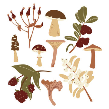 Set of mushrooms and berries in a retro style. Autumn theme for the design of invitations. Achromatic colors are brown and green. Vector flat design illustration.