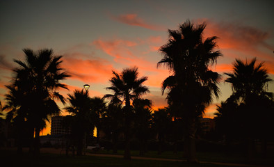 Atardecer