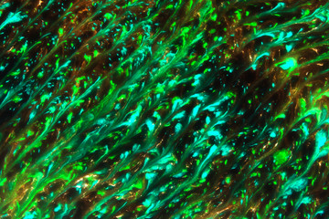 Fototapeta premium Ebru style background with different patterns in high quality