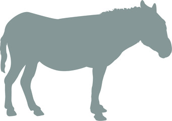 donkey vector illustration
