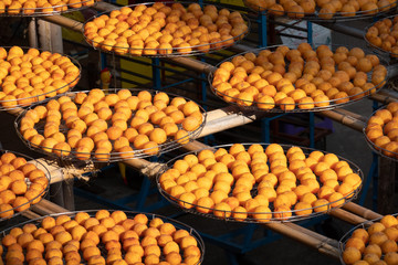 dried up persimmon under the sun