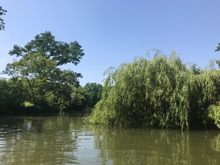 Beautiful lake in Dresden