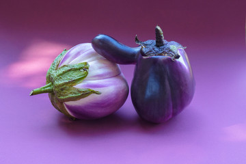 Two ugly eggplant on a paper purple background. Organic vegetable Solanum melongena. Conscious...