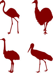 Obraz premium set of birds silhouettes