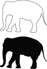 silhouette of an elephant