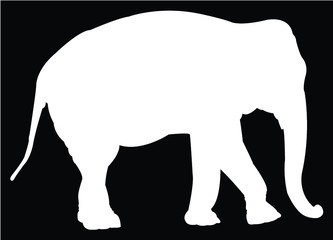 elephant silhouette vector