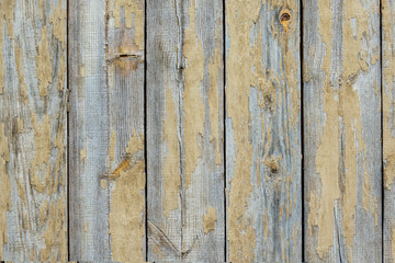 Old wooden wall. Remnants of light paint are visible on the boards. The wood has turned gray with age. Background.