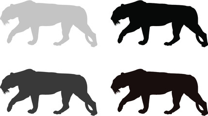 silhouettes of tiger