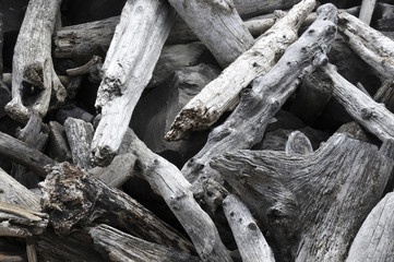 Fototapeta na wymiar driftwood stacked on the beach