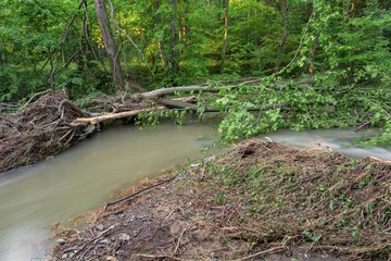 Juhyne river after high water. 