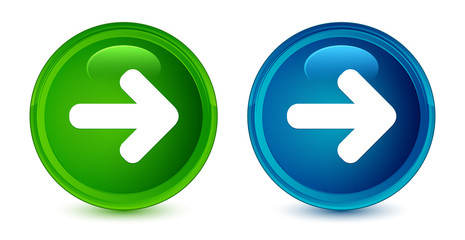 Next arrow icon artistic shiny glossy blue and green round button set