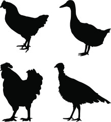 set of poultry silhouettes